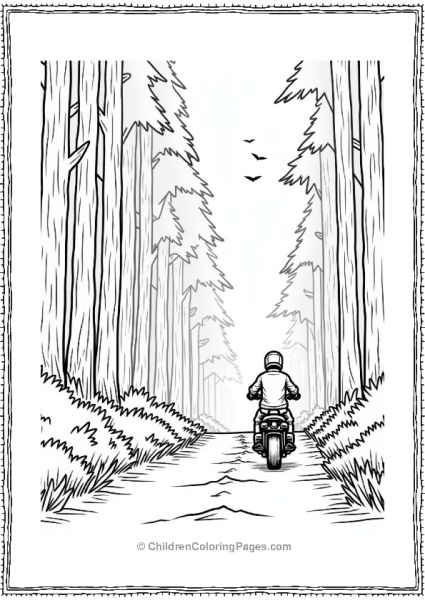 Motorcyclist In A Quiet Forest Free PDF Printable