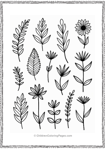 Zentangle Leaves And Flowers Design Free PDF Printable