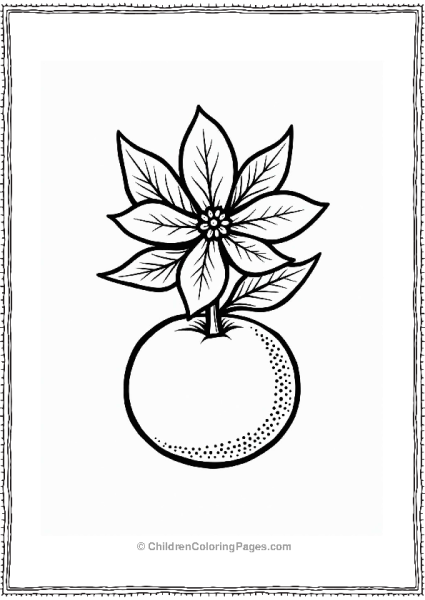 Orange Blossom Illustration Free PDF Printable