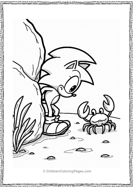 Shadow Sonic Hiding Behind A Rock With A Crab Free PDF Printable