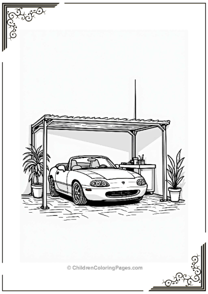 Convertible Sports Cars Under Canopy Free PDF Printable