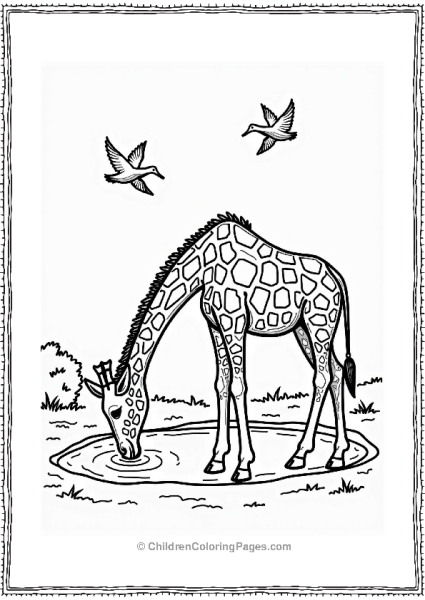 Giraffe At The Waterhole Free PDF Printable