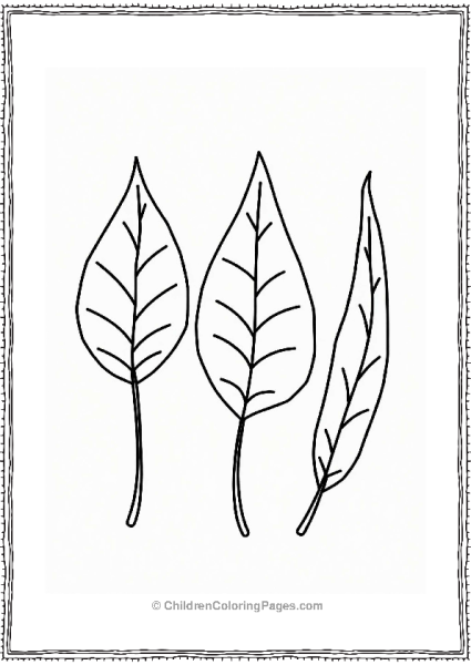 Leaf Arrangement For Kids Coloring Free PDF Printable